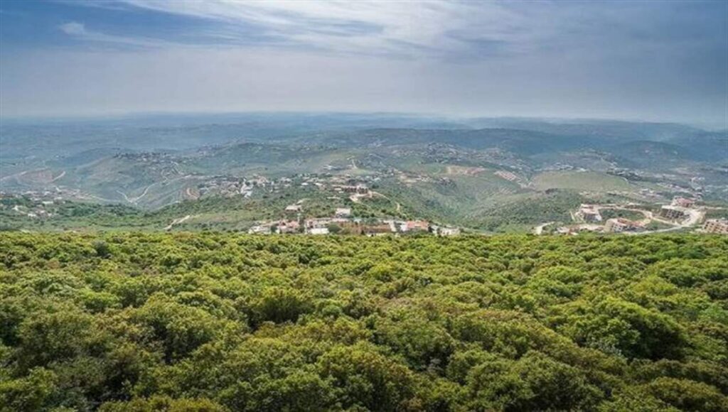 تكتّم شديد.. و"حزب الله" سيطلب ضمانة عربية؟ (نداء الوطن)