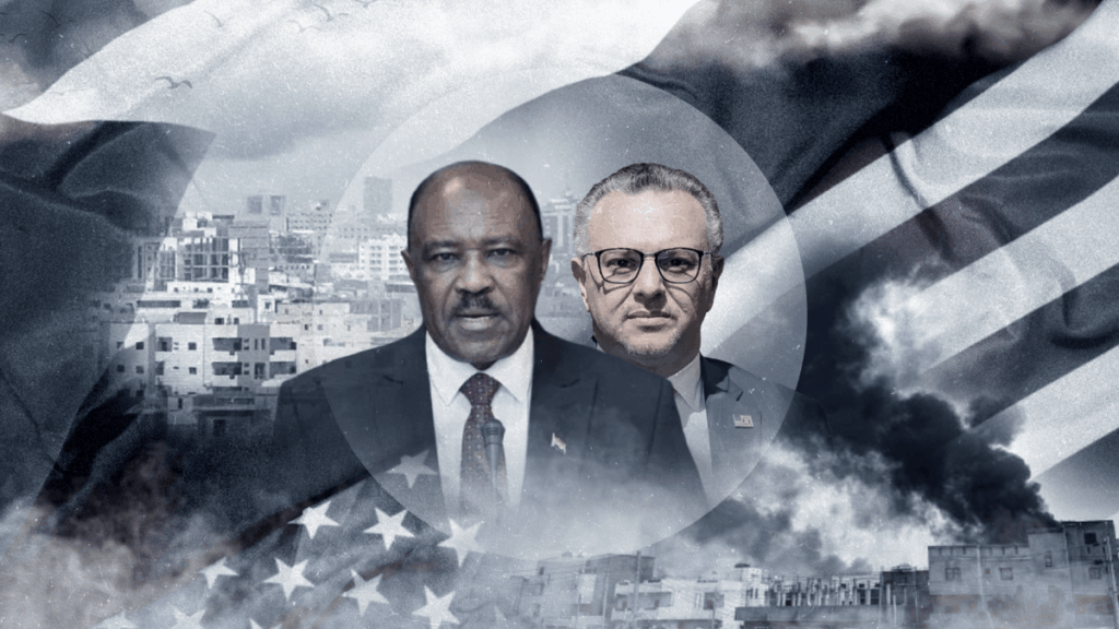 رشا إبراهيم's avatar