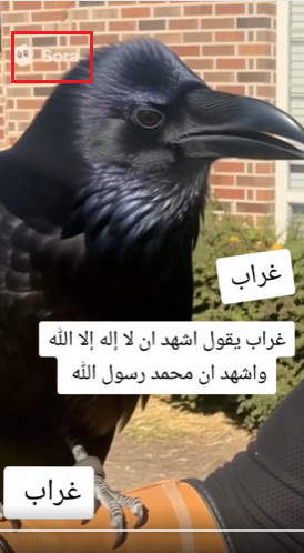 شعار SORA على الفيديو المتناقل