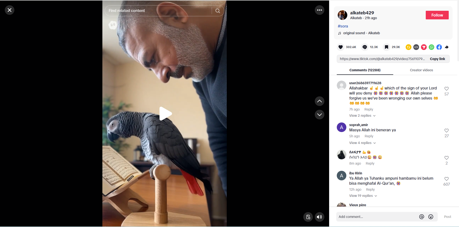 لقطة من الفيديو المنشور في حساب alkateb429 في تيك توك، في 14 تشرين الاول 2025