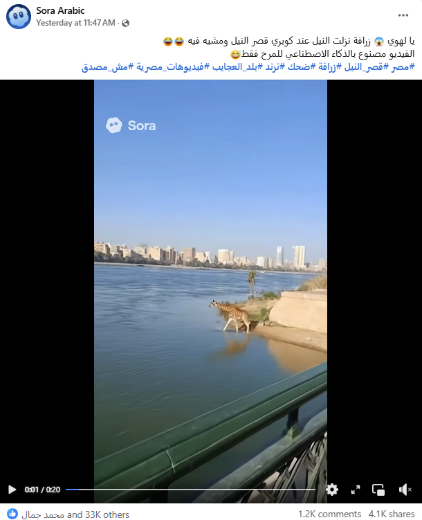 لقطة من الفيديو المنشور في صفحة SORA ARABIC في الفايسبوك في 20 تشرين الاول 2025