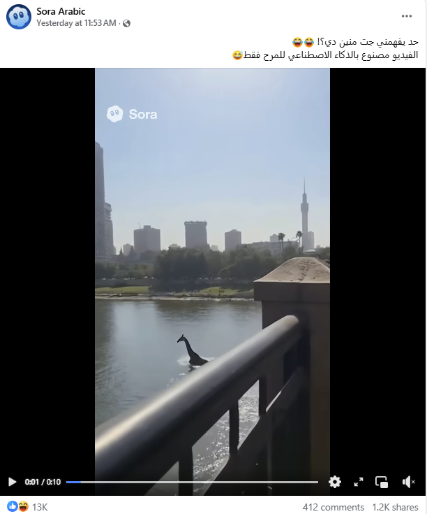 لقطة من الفيديو المنشور في صفحة SORA ARABIC في الفايسبوك في 20 تشرين الاول 2025