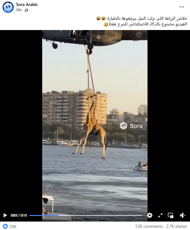لقطة من الفيديو المنشور في صفحة SORA ARABIC في الفايسبوك في 20 تشرين الاول 2025