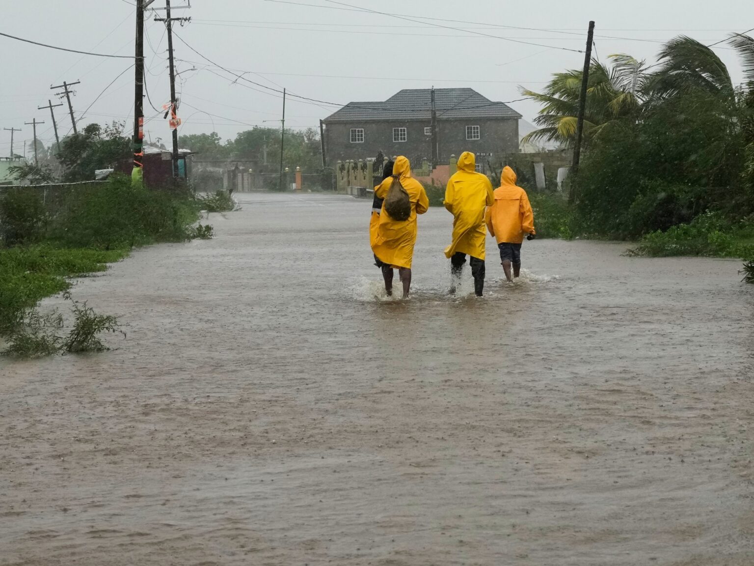دلافين وقروش ودمار كبير في شوارع جامايكا بعد إعصار "ميليسا".. ما حقيقتها؟ | أخبار