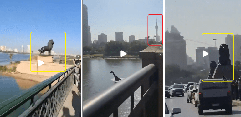 تشوهات بصرية في مقاطع الفيديو المتداولة (منصات التواصل)