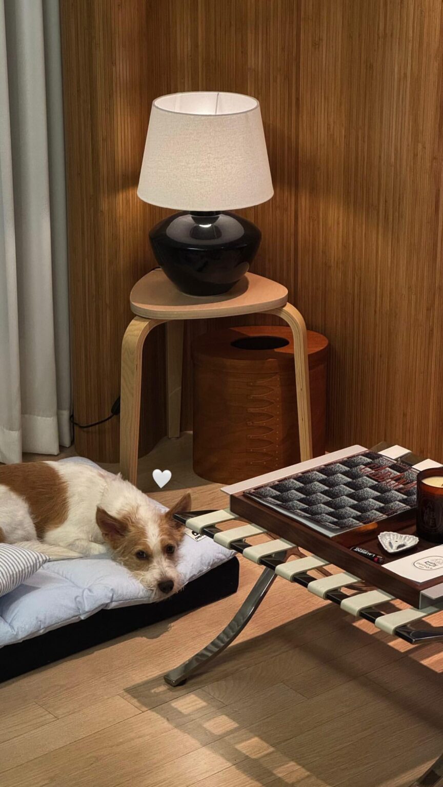 251002 تحديث قصة أليس إيج مع هانك