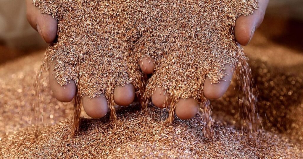 سعر النحاس يتجه لأكبر خسائر يومية في 5 أشهر بعد تصريحات ترمب اقتصاد الشرق مع Bloomberg