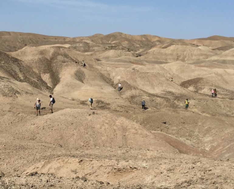 Scientists scour the landscape for fossils in the Ledi-Geraru paleoanthropological research area in the Afar Region of northeastern Ethiopia, in this undated handout picture released on August 13, 2025. Thirteen tooth fossils of the genus Homo and the genus Australopithecus unearthed in this area shed new light on human evolution. Kaye Reed, Arizona State University/Handout via REUTERS THIS IMAGE HAS BEEN SUPPLIED BY A THIRD PARTY. NO RESALES. NO ARCHIVES. MANDATORY CREDIT.