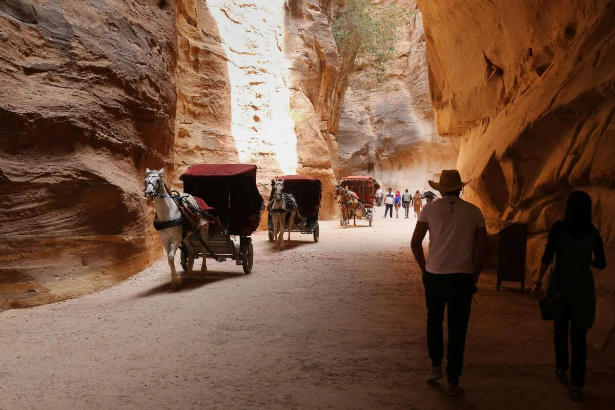 دول عربية للسفر الفردي