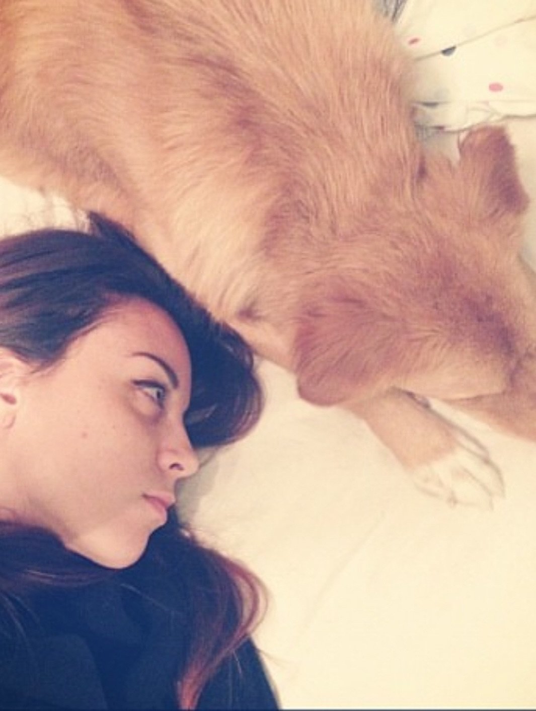 مريم الخشت تودع كلبها مريم الخشت تودع كلبها