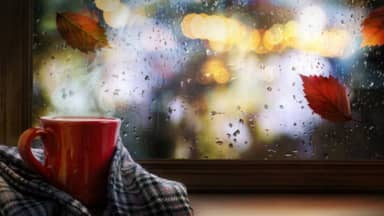 الطقس يستعيد صوابه... أمطار ورياحٌ وضباب في هذا الموعد!