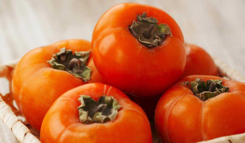 الكيندو لينتو 