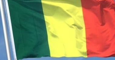 إعدام مؤثرة على تيك توك فى مالى علنا يثير جدلا واسعا