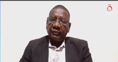 كاتب سودانى: الدعم السريع يمارس التطهير العرقى بالفاشر