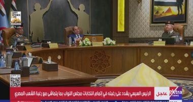 الرئيس السيسي: يجب إتمام انتخابات مجلس النواب بما يتماشى مع رغبة الشعب