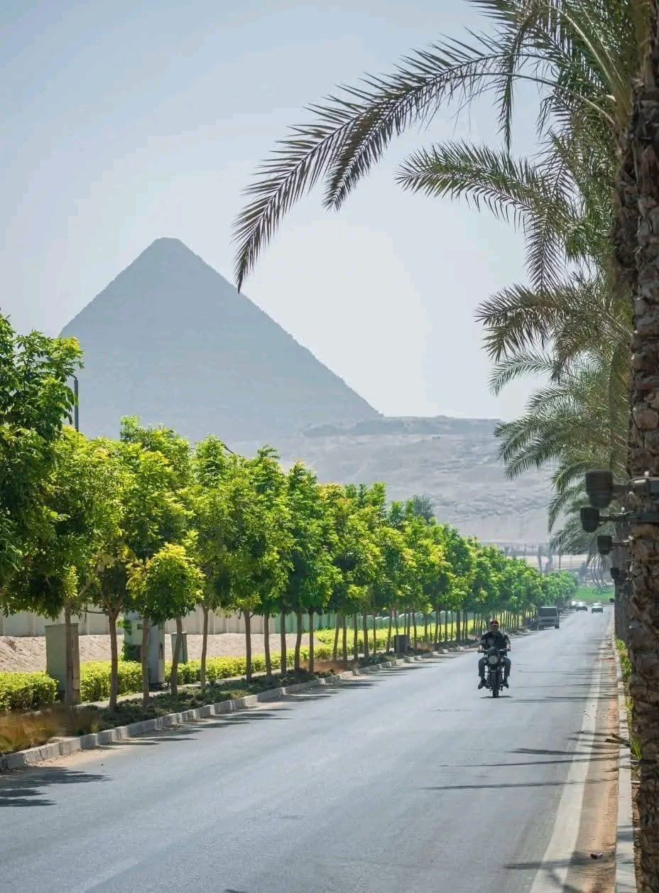 الجيزة تتزين استعدادا لافتتاح المتحف الكبير