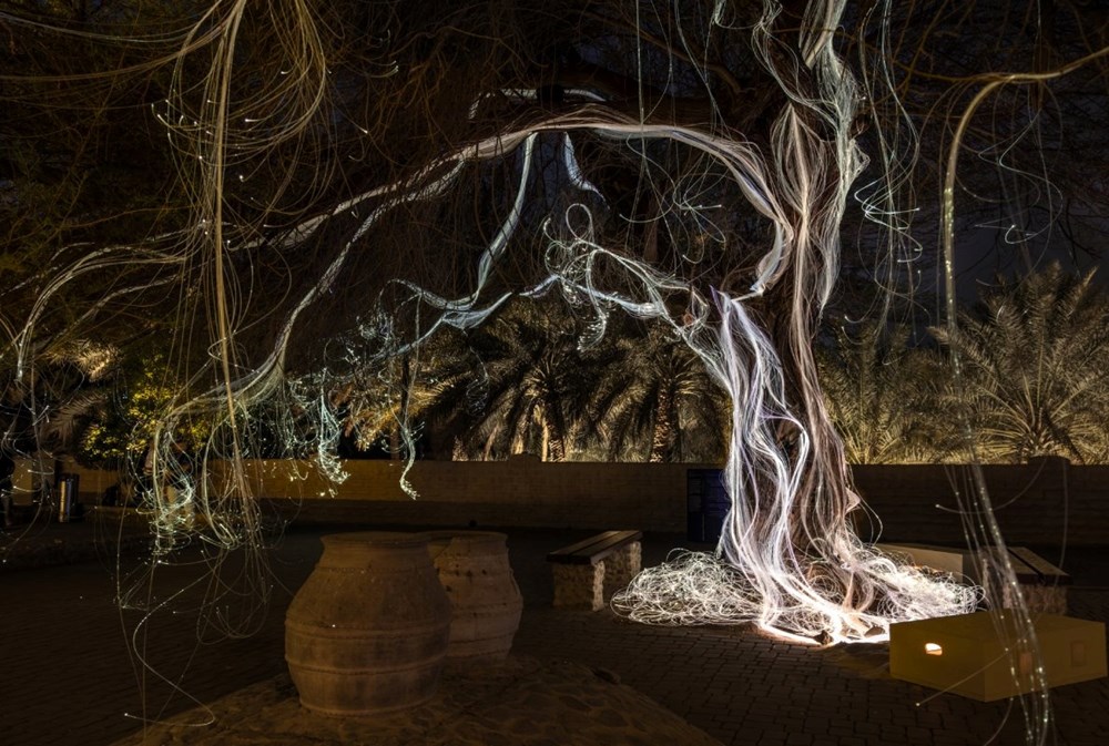 «منار أبوظبي».. 22 عملاً ضوئياً في 4 وجهات تُعيد تعريف فنون الضوء بالإمارة