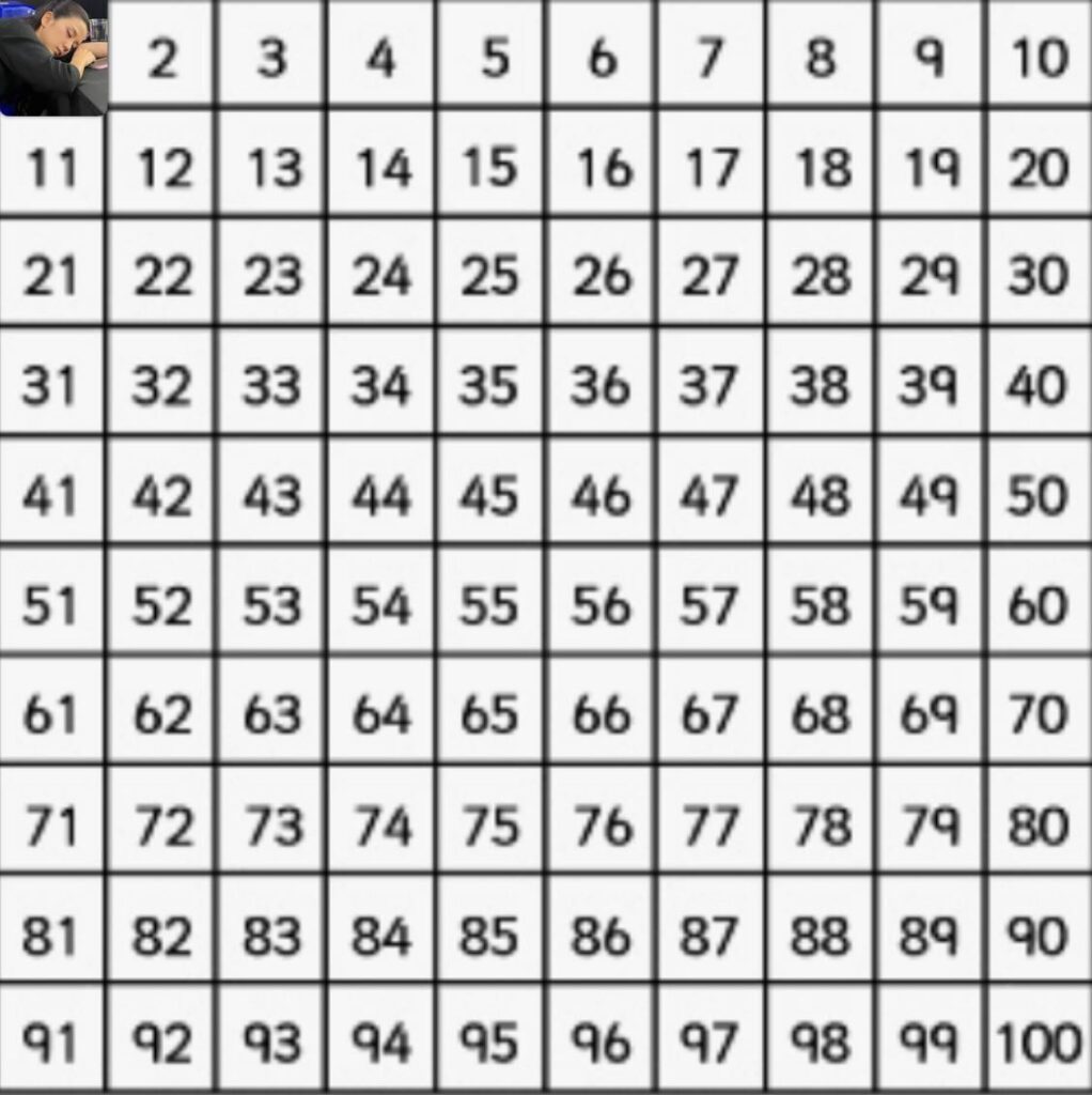 251112 100 يوم من بلاك بينك