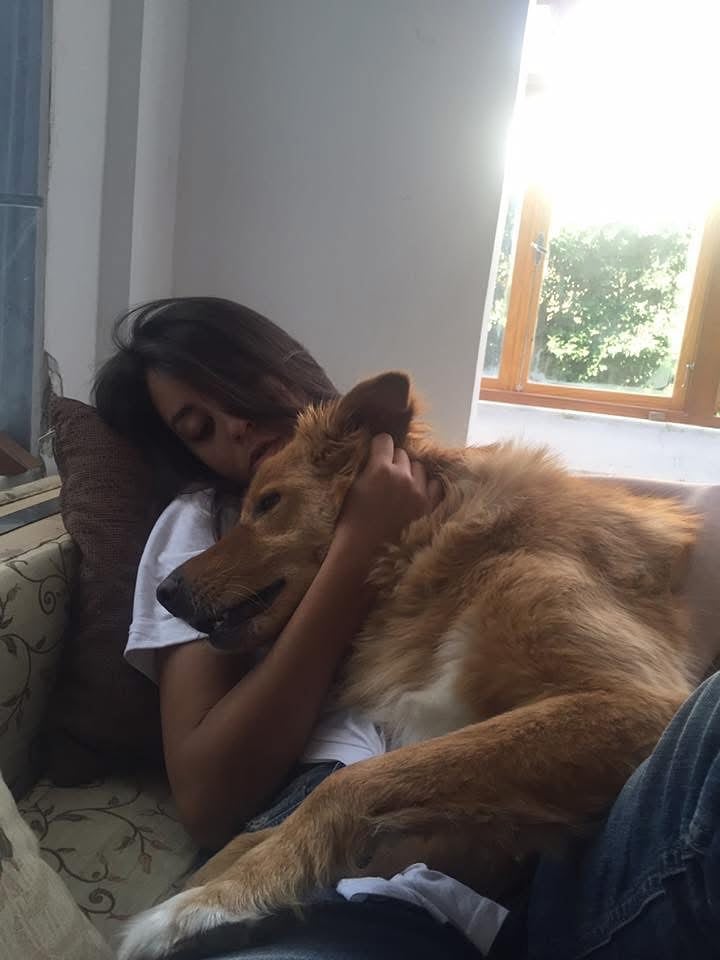 مريم الخشت تودع كلبها مريم الخشت تودع كلبها