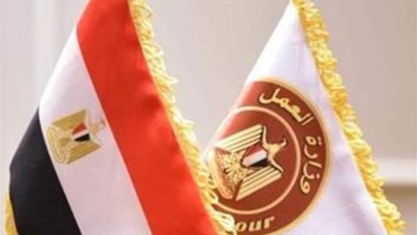 برواتب تصل إلى 16 ألف جنيه.. وزارة العمل تعلن عن 185 وظيفة جديدة