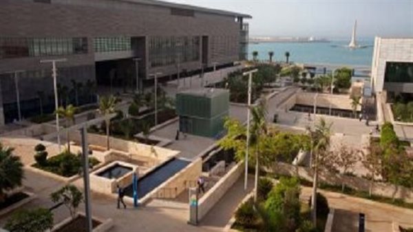 وظيفة جامعة