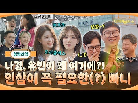 TripleS Nakyoung & Yubin (المضيف: Pani Bottle & Kim Poong) - الحلقة 1: عاد عرض Pani وKim Poong كبث منتظم! تم استدعاء المدير بشكل عاجل للإبلاغ عن القوة المذهلة للجينسنغ !! @ عرض المحطة (251113)
