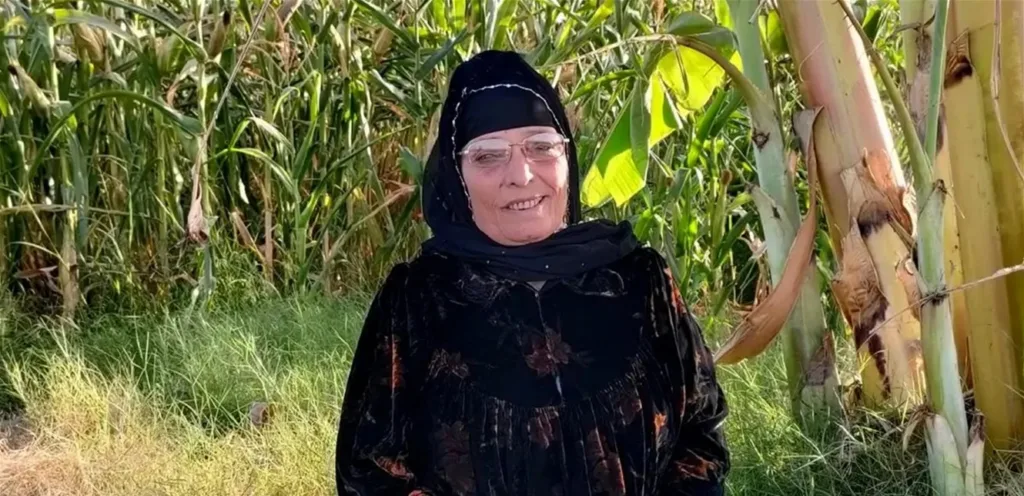 من فرن الخبز إلى بيلبورد… مطربة ريفية تفاجئ نجوم الغناء Doc-P-1436872-638976221416465371.webp