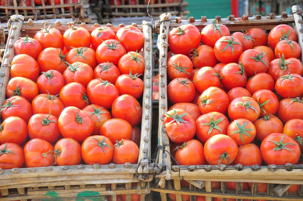 أسعار الطماطم