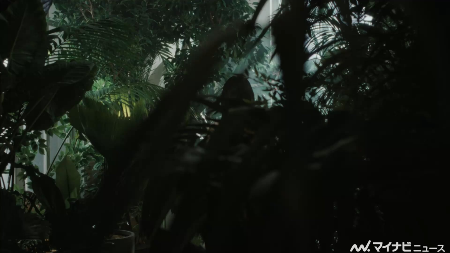 251104 تحديث اليوتيوب mynavinews-entame - تظهر مينا عضوة TWICE تعبيرًا رائعًا في زي يسلط الضوء على خط عنقها الجميل، مع لحظات من الضحك المشتركة مع الموظفين. تم إطلاق الفيديو التجاري الجديد وخلف الكواليس لأغنية "Sweet".