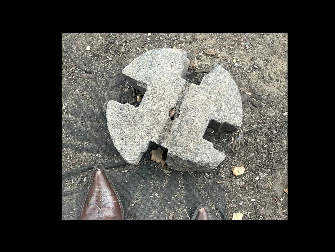 راما دواجي تكشف قائمة إلهام فنية لشهر أكتوبر (انستغرام)