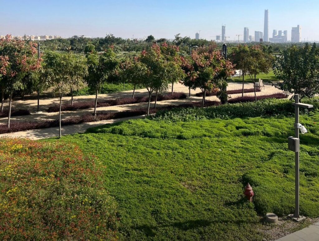 أشجار الصفصاف البكاء والبوتبلروش الأحمر تكسو حدائق النهر الأخضر في العاصمة الإدارية.. صور النهر الأخضر العاصمة الإدارية