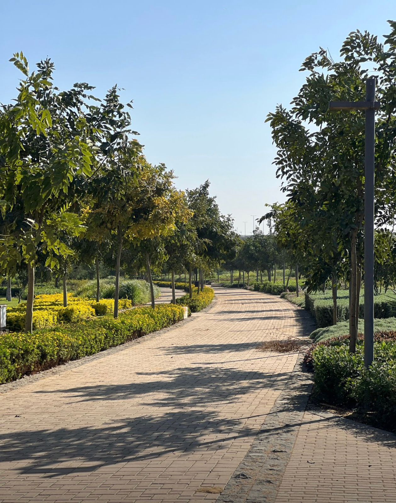 النهر الأخضر العاصمة الإدارية