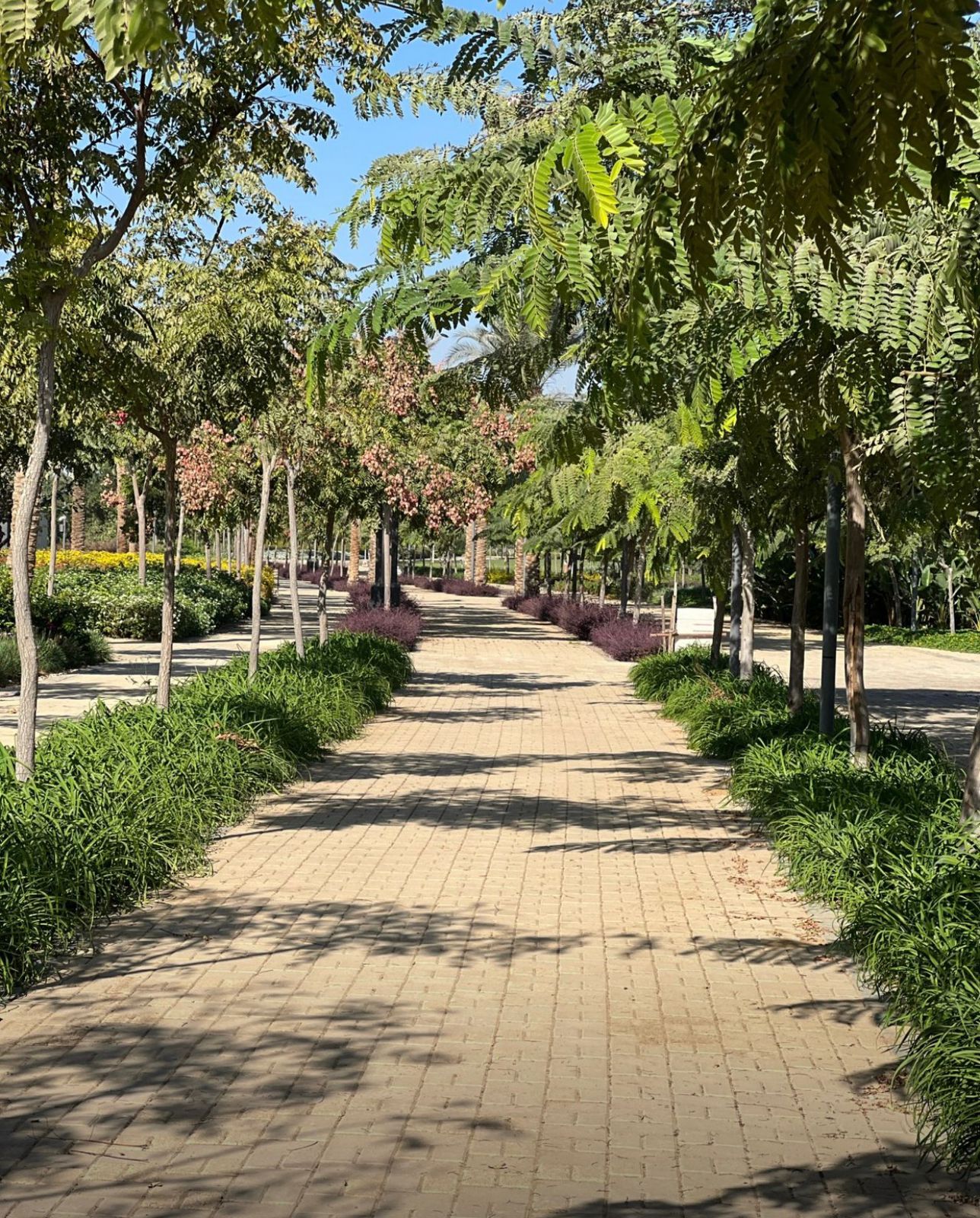 النهر الأخضر العاصمة الإدارية