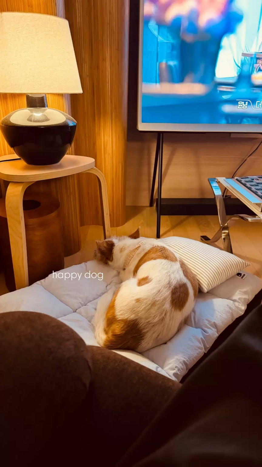 251108 تحديث قصة Alice IG مع هانك