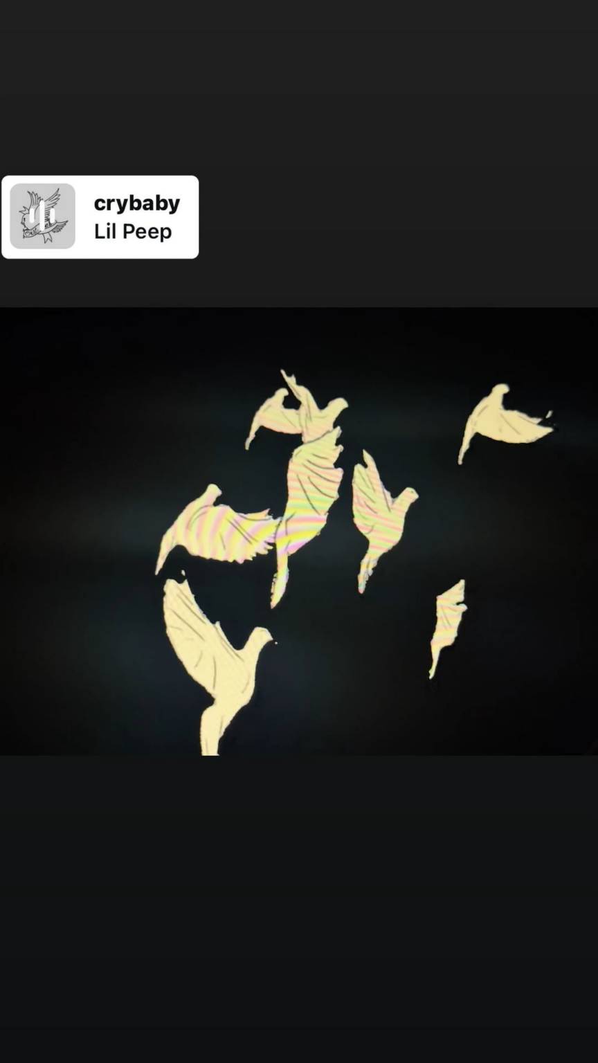 251123 تحديث قصة الانستغرام الساطعة