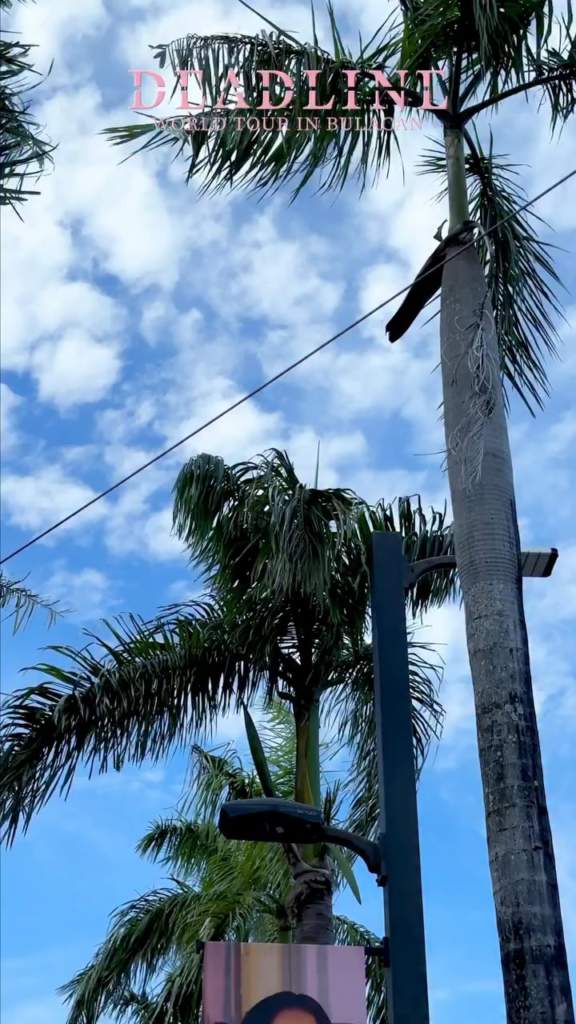 251126 جيسو | جولة بلاك بينك العالمية [DEADLINE] في مقطع تسليط الضوء على بولاكان