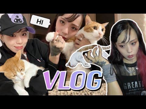 رولينج كوارتز آرم - مدونة فيديو صيفية | مدونة فيديو لحياة القط ناتشو والرومي اليومية (251102) [ENG SUB]