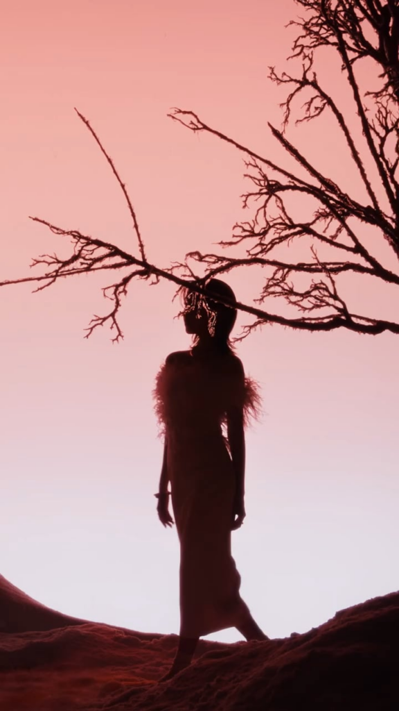 251113 تحديث بوشرون ومينا على الانستقرام - "وقت اللعب أم وقت العطلة؟ فلنفعل الأمرين معًا مع سفيرة اليابان، مينا. انطلق إلى أرض العجائب الشتوية في مينا، متلألئًا بإبداعات كاتر."