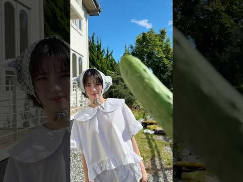 251121 أحب الأكل 🍎🥕🍅🌽🥬🥒