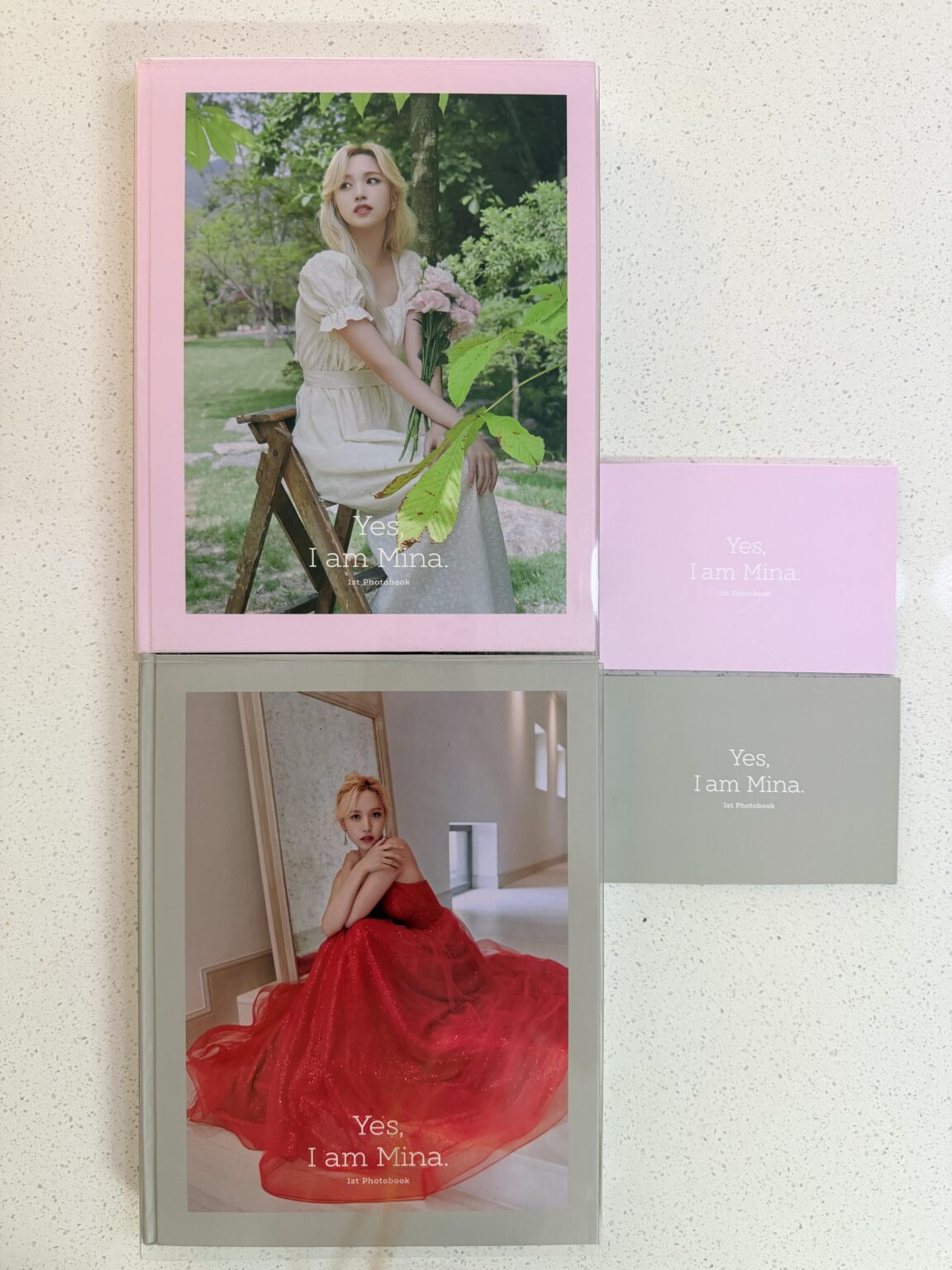 لقد وصلت كتب الصور الفوتوغرافية الخاصة بمينا!