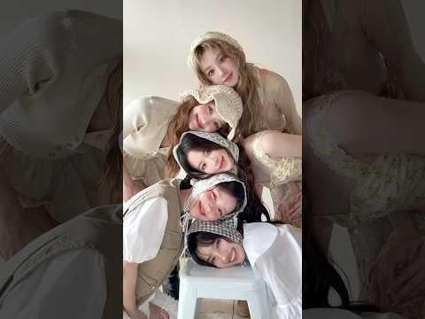 251119 🐰🐱🐹🐶🐺🤍