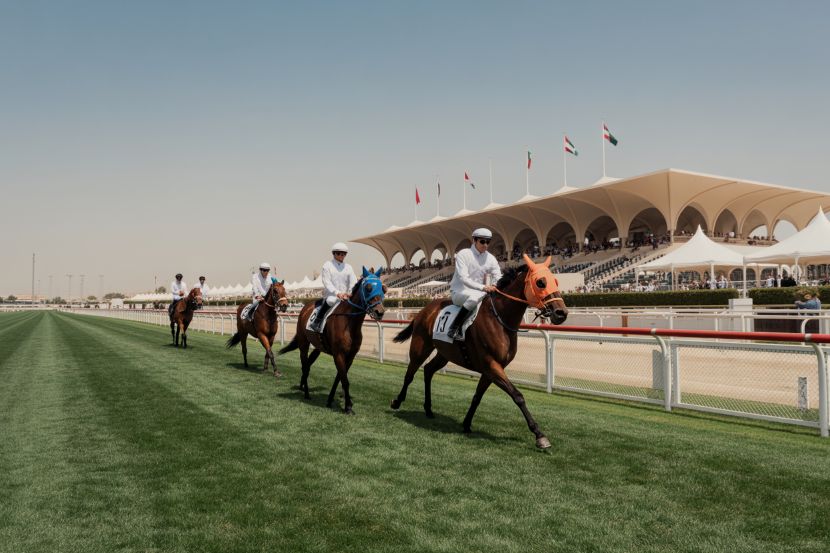شاهد سباقات الخيول العربية الأصيلة ذات المستوى العالمي والضيافة الفاخرة في كأس رئيس دولة الإمارات العربية المتحدة في أبو ظبي.