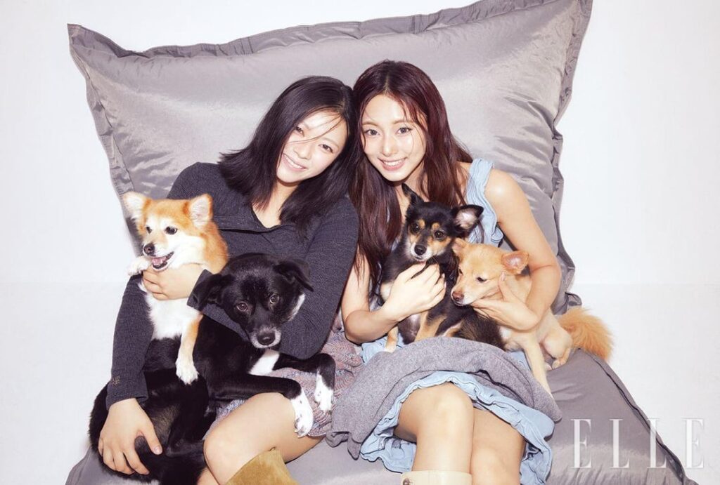 251111 تحديث موقع ELLE Korea - جونغيون وتزويو من TWICE، يكملون التصوير مع كلابهم الأربعة