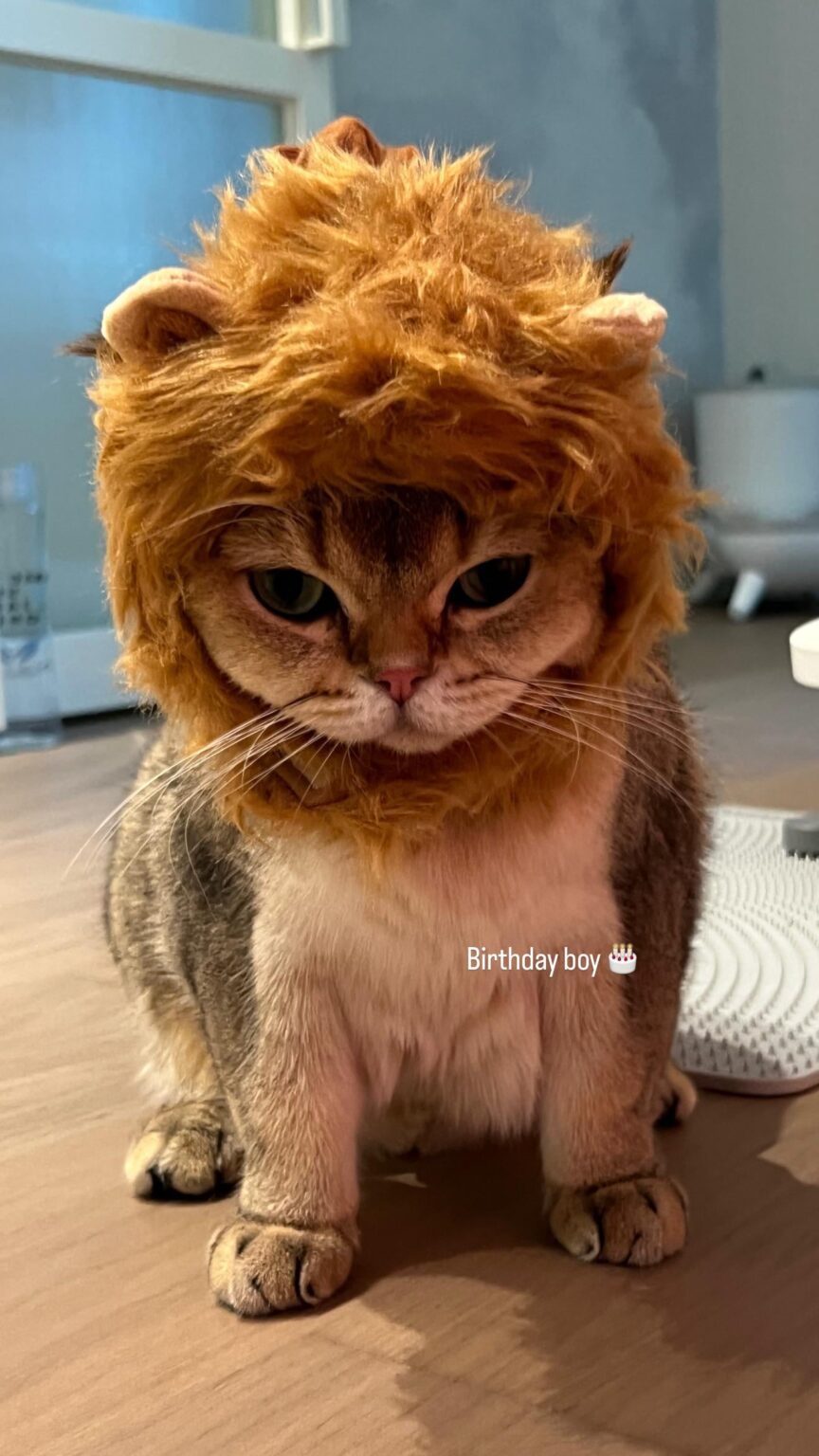 251121 تحديث قصة lalala_lfamily على الانستغرام