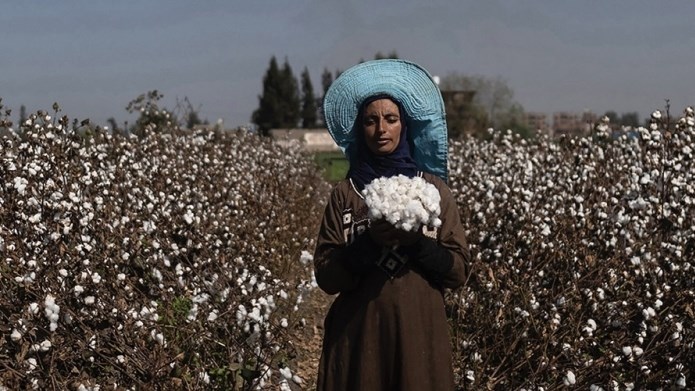 «اكسبوجر 2026» ينقل قصصاً وثقافات من 6 قارات