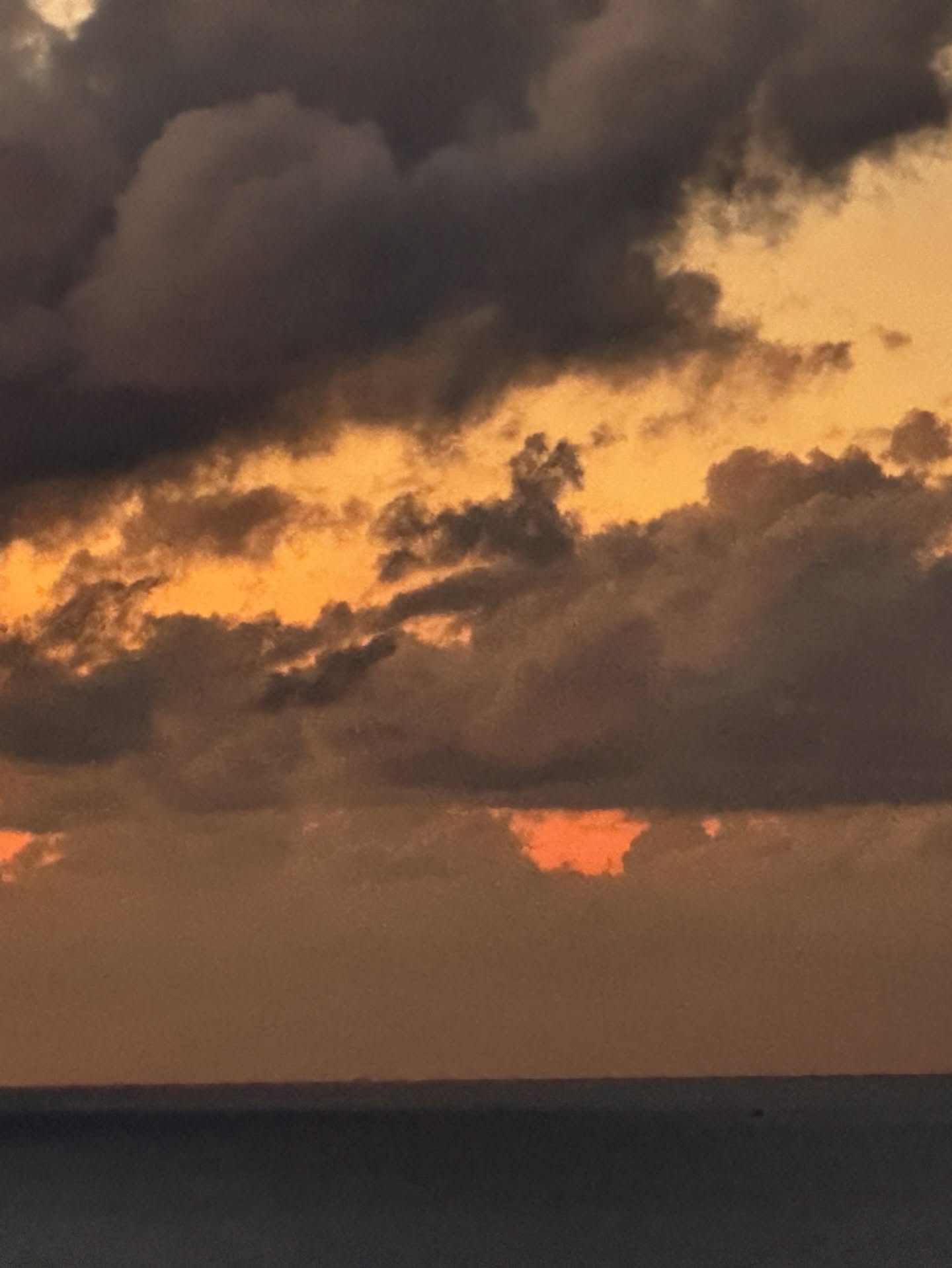 كندة علوش،كنده علوش وعمرو يوسف، عمرو يوسف وكندة علوش،كندة علوش في اسكندرية ،كندة علوش في الإسكندرية