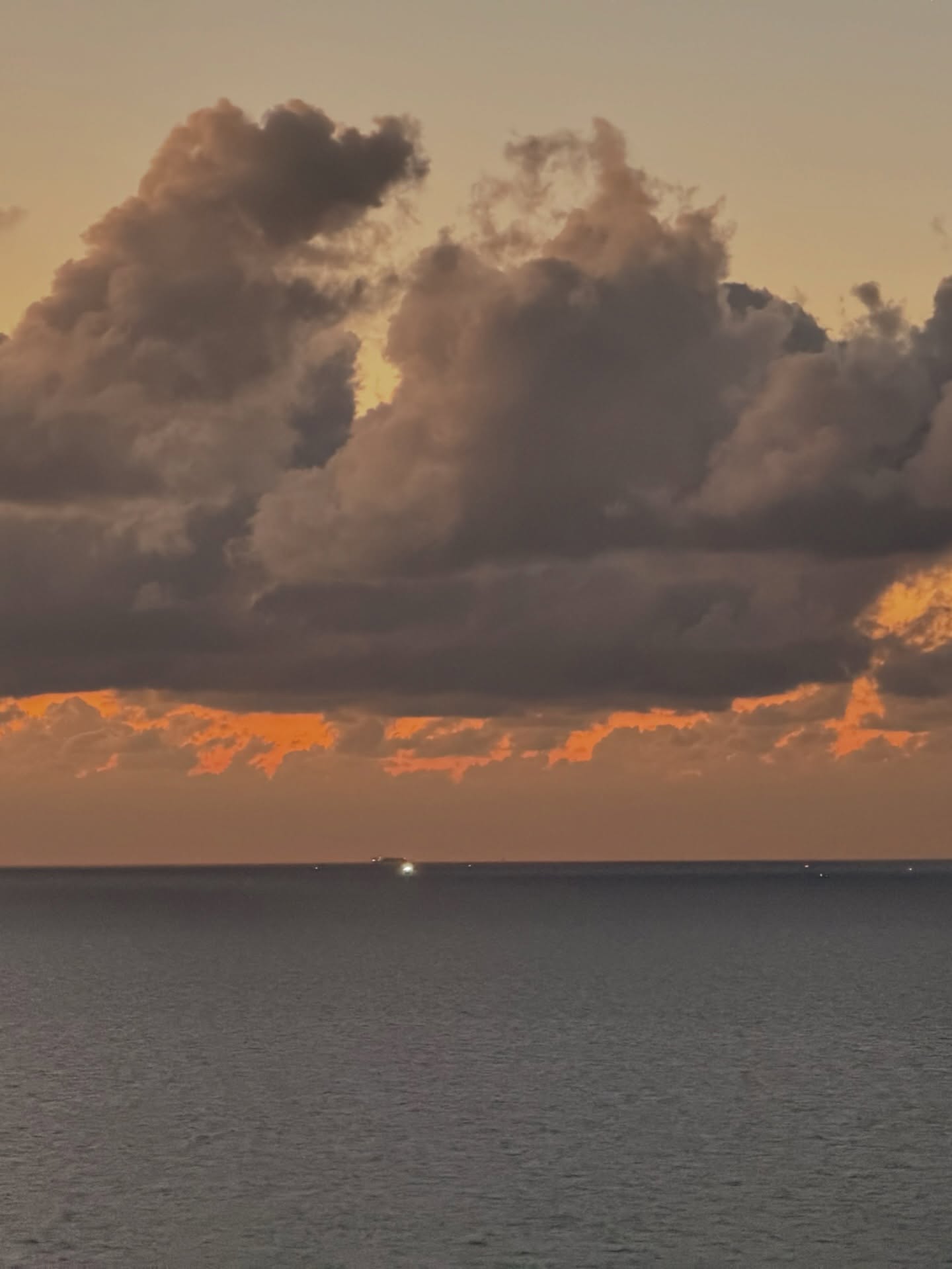 كندة علوش،كنده علوش وعمرو يوسف، عمرو يوسف وكندة علوش،كندة علوش في اسكندرية ،كندة علوش في الإسكندرية