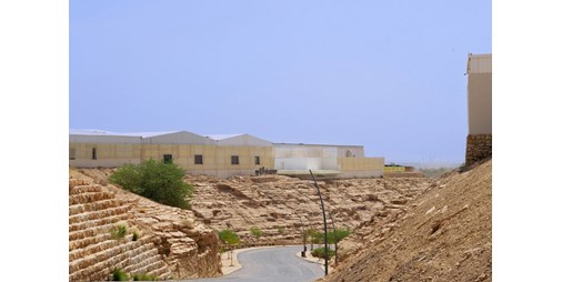 أكثر من 65 فنانا من أكثر من 37 دولة يشاركون