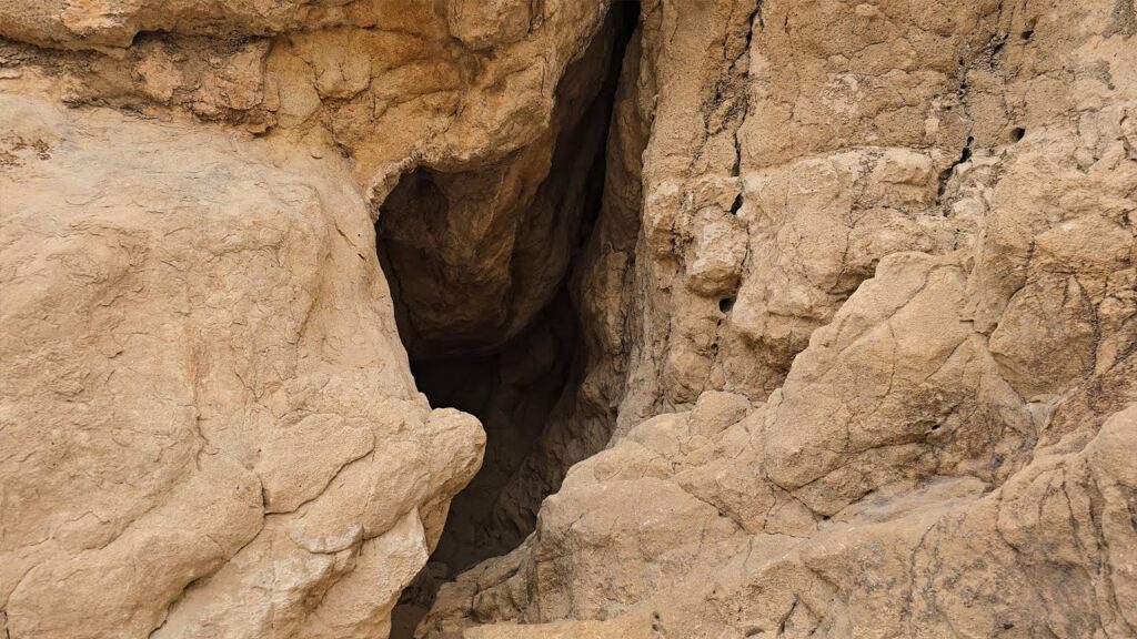 موقع الفاية يروي قصة الاستيطان البشري المبكر