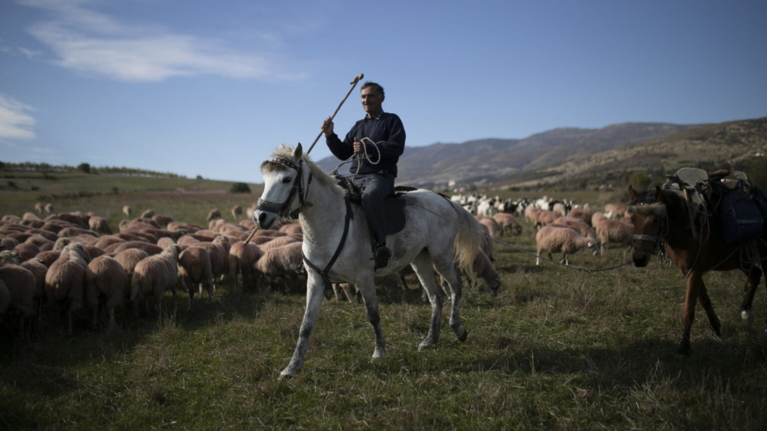 اكسبوجر يحتفي بأثينا ضيف شرف دورته العاشرة بـ140 عملاً فنياً